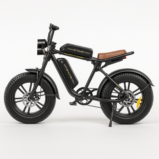 ThunderRider Moto-E Cruiser
