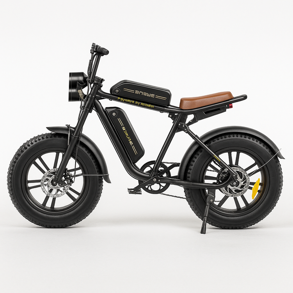 ThunderRider Moto-E Cruiser